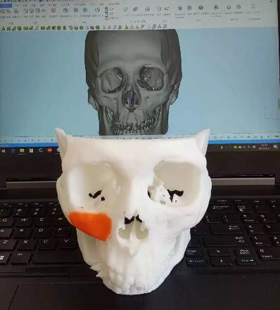 ����Ů������������3D��ӡ�����������˻�����ѧ����
