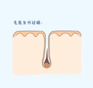 ����ë��ô�������Խ����أ�������Ѿ������