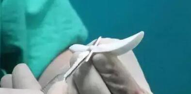 ¡�ǲ��ϣ��轺Vs���嵽�׸�ѡ˭