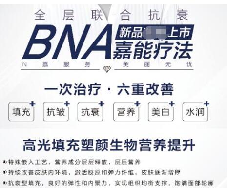 BNA�����Ʒ�2�����ƣ�����һ����¼�