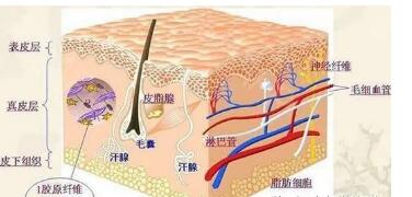 �沿�������е������߳��ְ�����ʲôԭ��