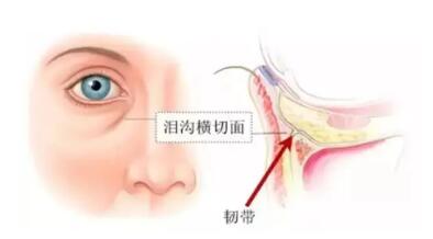 ���ṵ�ĳ����˽���Ԥ���������ṵ��ҽ����ʽ