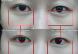 �����������룺�����˽���Щ�ס��졢��
