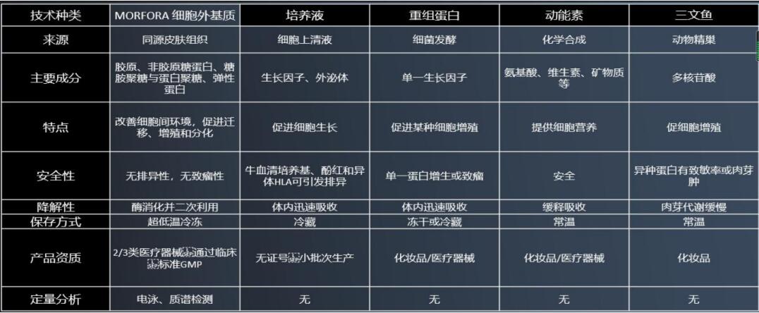 2020�沿���ữ�뿹˥���¼������ַ��