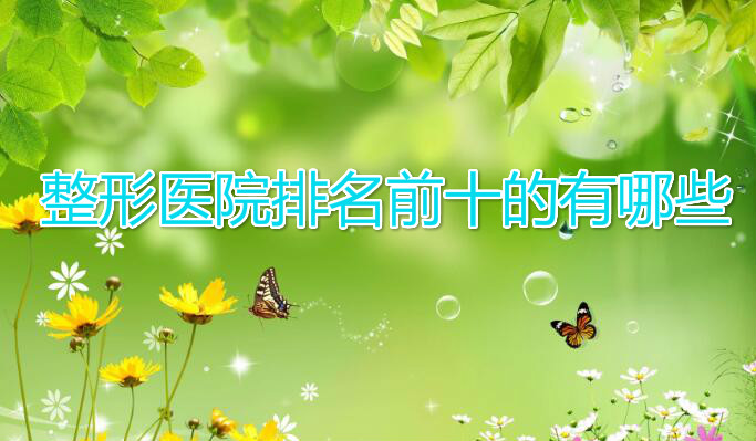 ����ǰʮ�Ĺ�����˽������ҽԺ����������+ҽʦ�Ŷ�