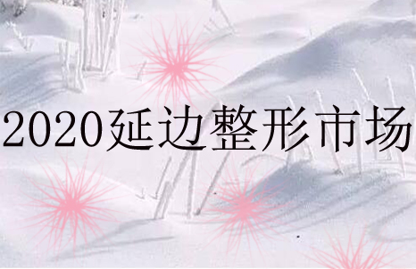 2020�ӱ������г�����������ҽ����ҵ�İ������У������ڴ����ֻ�