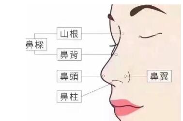 ���ۺ����������������� ѡȫ�߹ǻ��ǰ��߹�