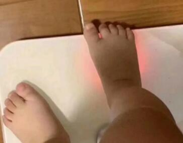 ����֬���ʡ�һֱ����ȴһֱ�ݲ�������������������