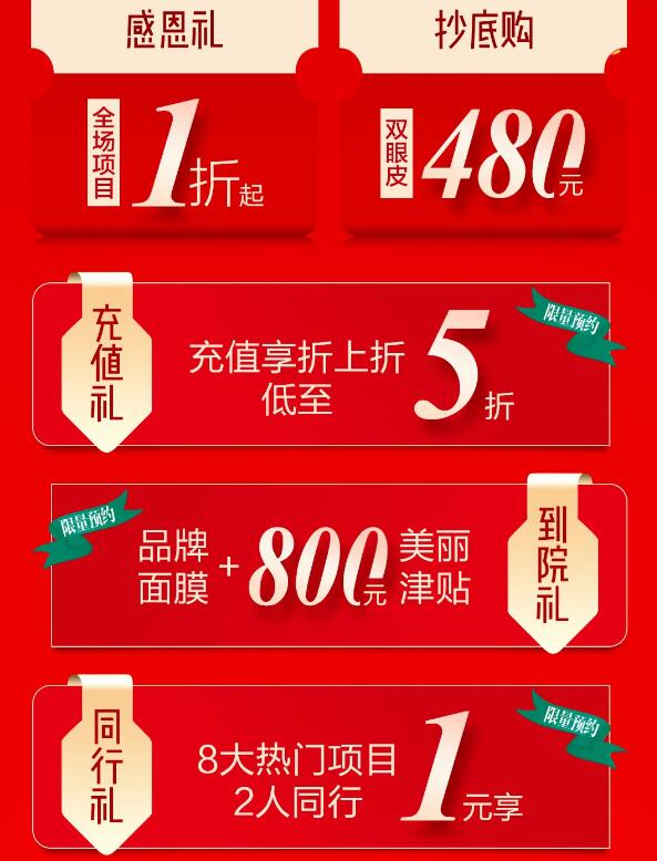 ��ͷҶ������8������䣬���˹�����ʢ����