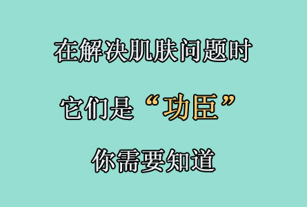 Ƥ������������� ��Ϊ�������� ��Щ��������Ҫ֪��